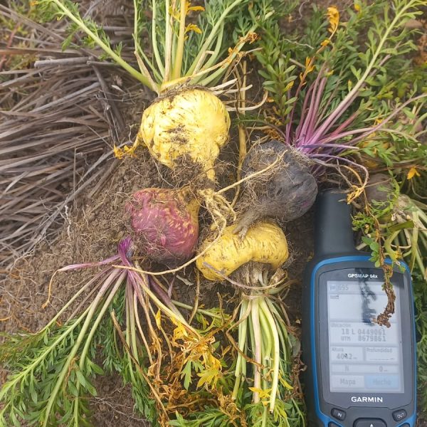 WhatsApp Image 2026-01-30 at 12.12.58 PM